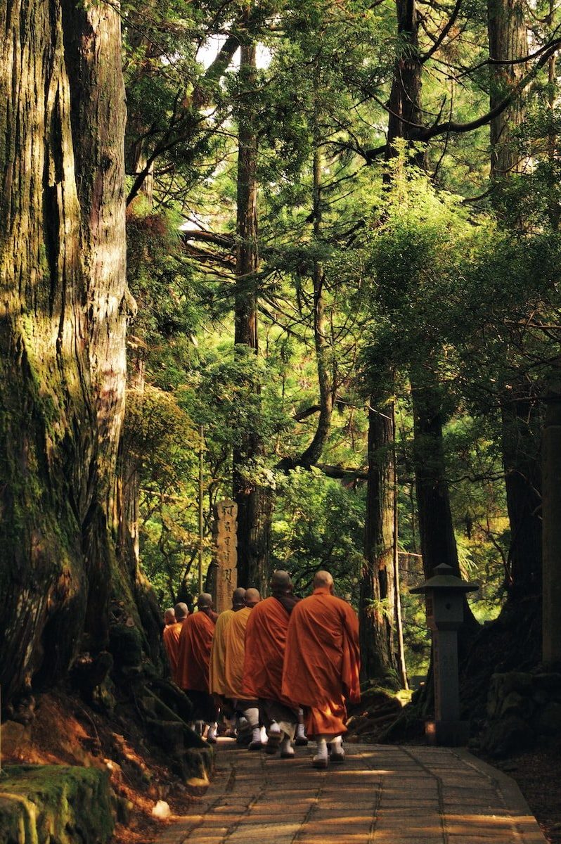 monks walking on pathway surrounded with trees